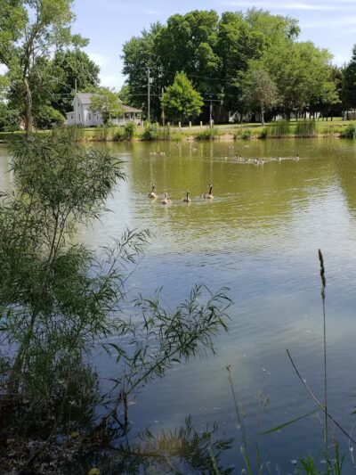 Lima Park & Recreation Division - Lima, OH