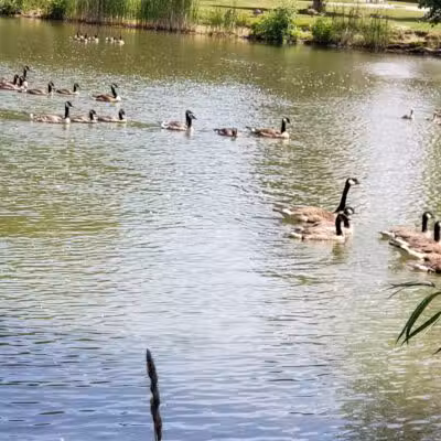 Lima Park & Recreation Division - Lima, OH