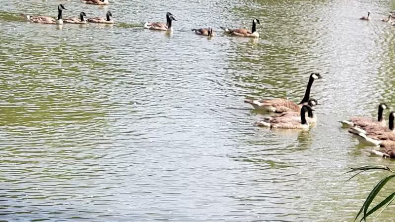 Lima Park & Recreation Division - Lima, OH