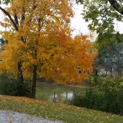 Lima Park & Recreation Division - Lima, OH