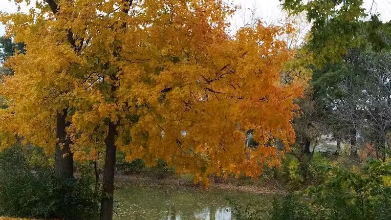 Lima Park & Recreation Division - Lima, OH