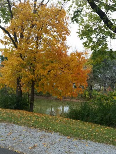 Lima Park & Recreation Division - Lima, OH