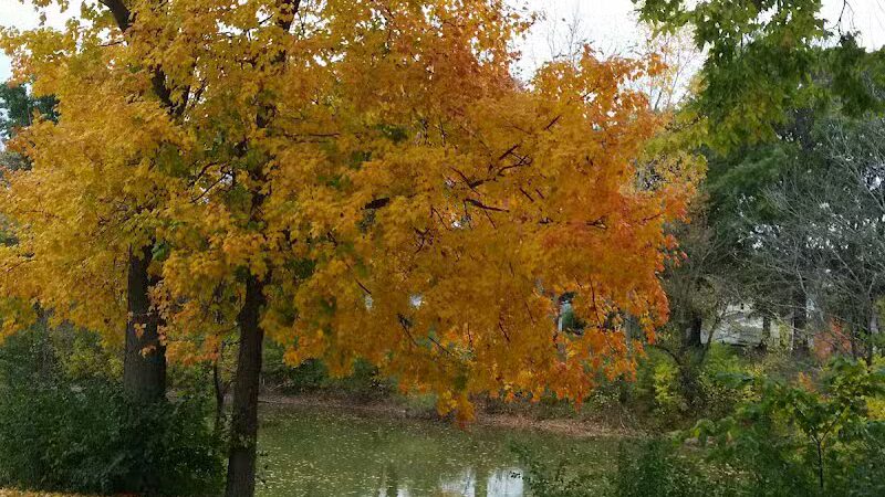 Lima Park & Recreation Division - Lima, OH