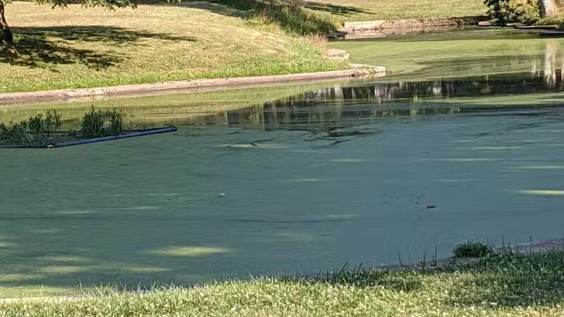 Lima Park & Recreation Division - Lima, OH