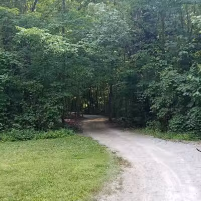 McLean Teddy Bear Park - Lima, OH