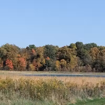 McLean Teddy Bear Park - Lima, OH