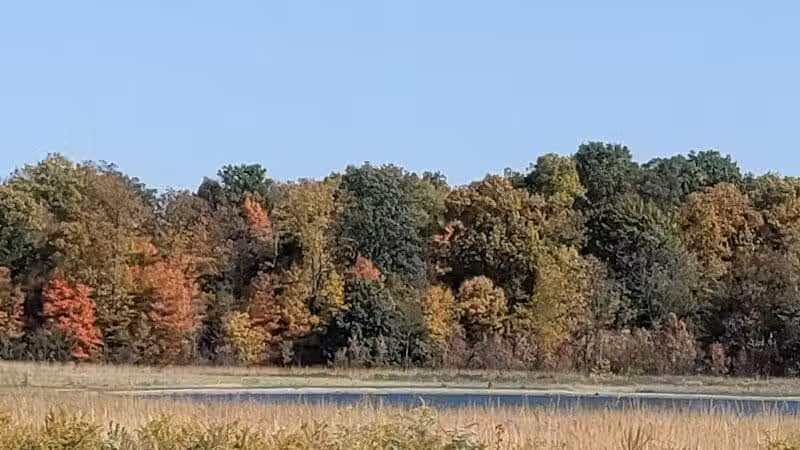 McLean Teddy Bear Park - Lima, OH