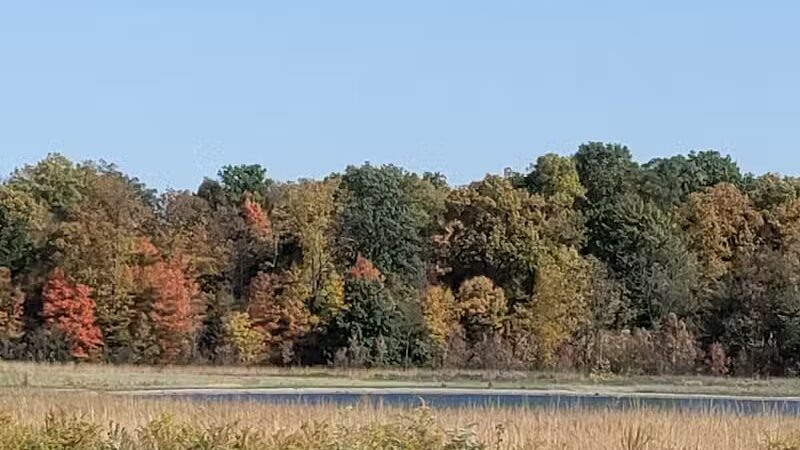McLean Teddy Bear Park - Lima, OH