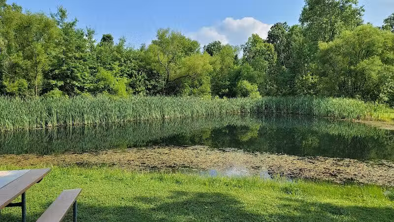 McLean Teddy Bear Park - Lima, OH