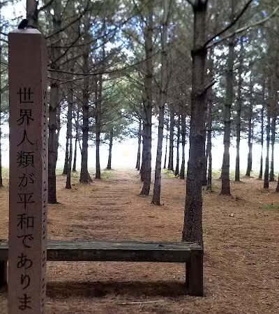 Ottawa Metro Park - Lima, OH