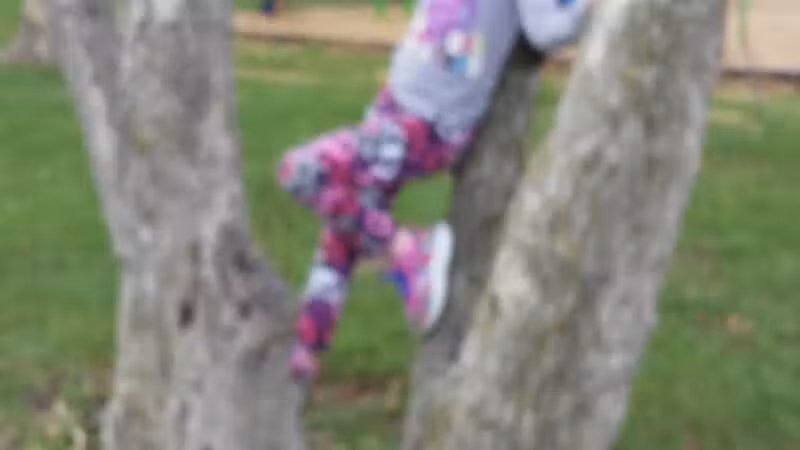 Robb Park - Lima, OH