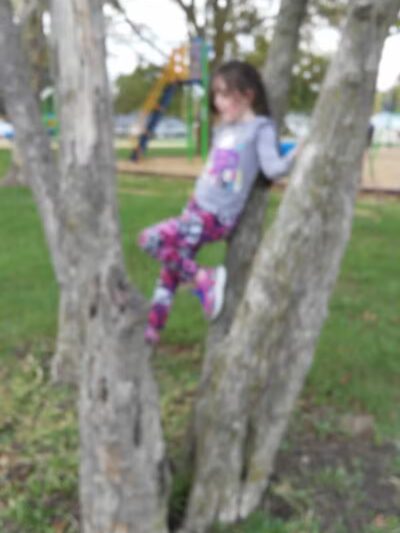 Robb Park - Lima, OH