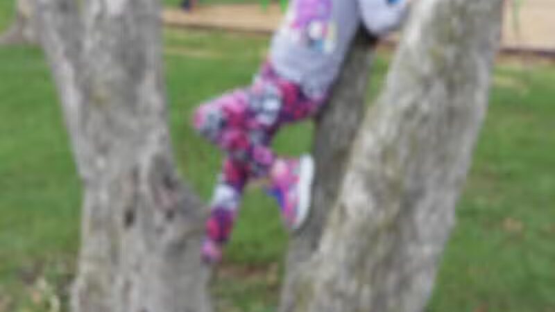 Robb Park - Lima, OH