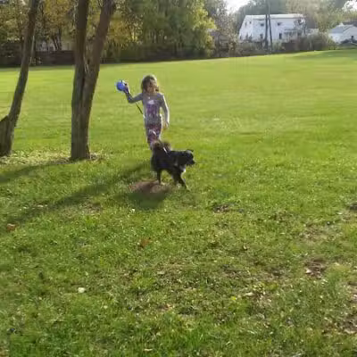 Robb Park - Lima, OH