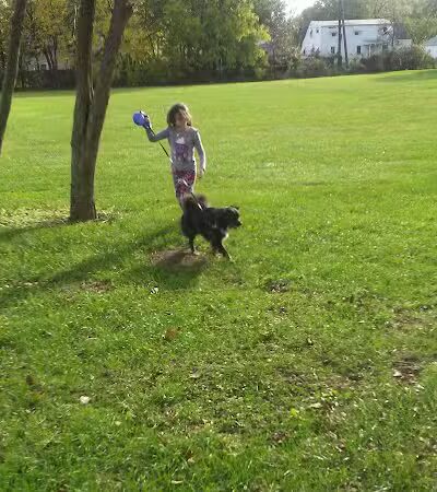 Robb Park - Lima, OH