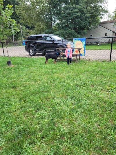 Lisbon Dog Park - Lisbon, OH