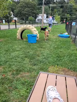 Lisbon Dog Park - Lisbon, OH