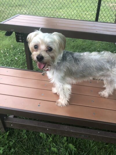 Lisbon Dog Park - Lisbon, OH