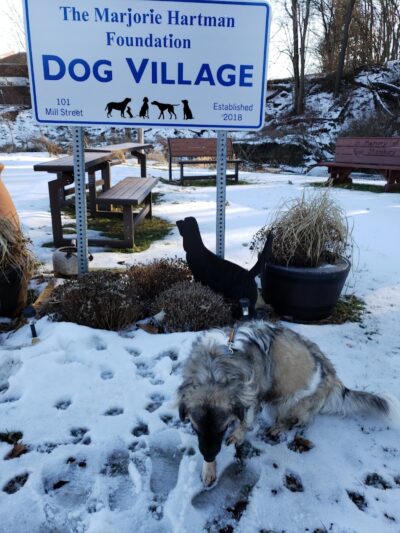 Lisbon Dog Park - Lisbon, OH