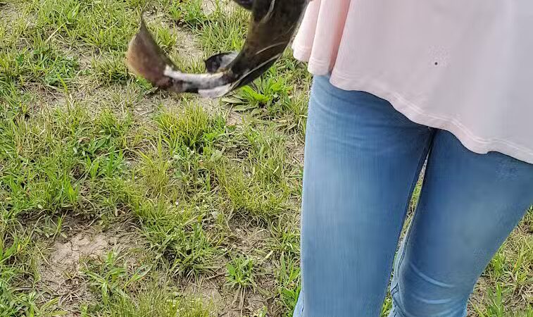 Little Hocking, Riverfront Park-Belpre Twp. - LITTLE HOCKNG, OH