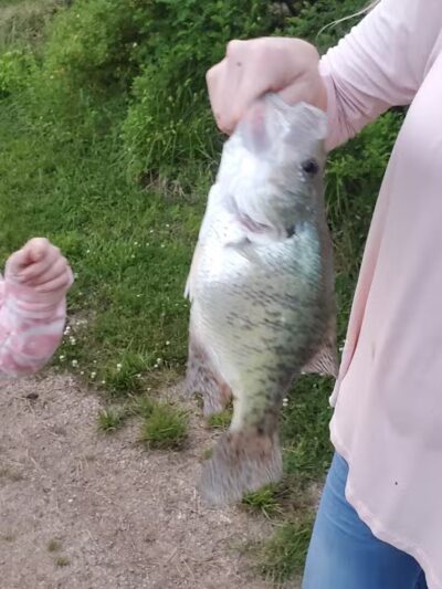 Little Hocking, Riverfront Park-Belpre Twp. - LITTLE HOCKNG, OH