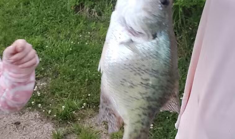 Little Hocking, Riverfront Park-Belpre Twp. - LITTLE HOCKNG, OH