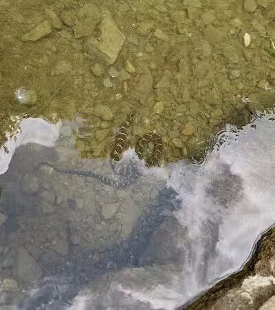 Lodi Community Park - Lodi, OH