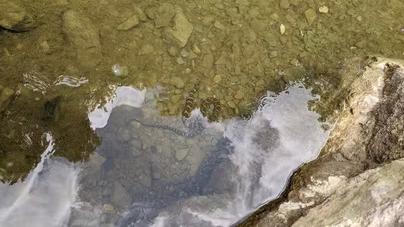 Lodi Community Park - Lodi, OH