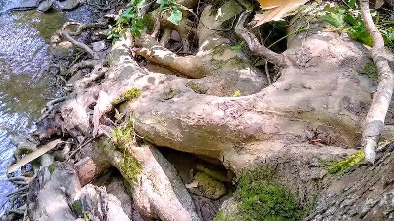 Lodi Community Park - Lodi, OH