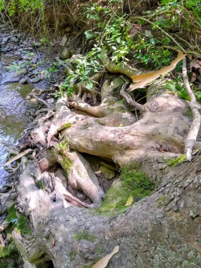 Lodi Community Park - Lodi, OH