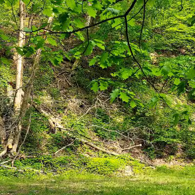 Lodi Community Park - Lodi, OH