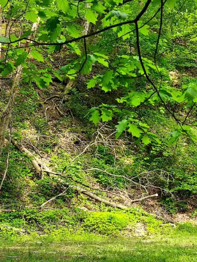 Lodi Community Park - Lodi, OH