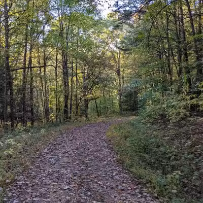 21 Horse Cave - Logan, OH