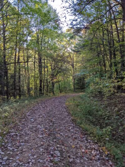 21 Horse Cave - Logan, OH