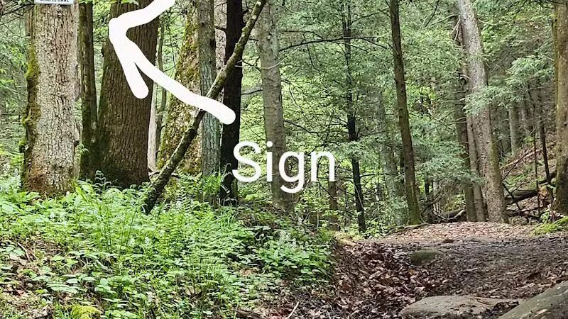 21 Horse Cave - Logan, OH