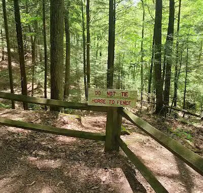 21 Horse Cave - Logan, OH