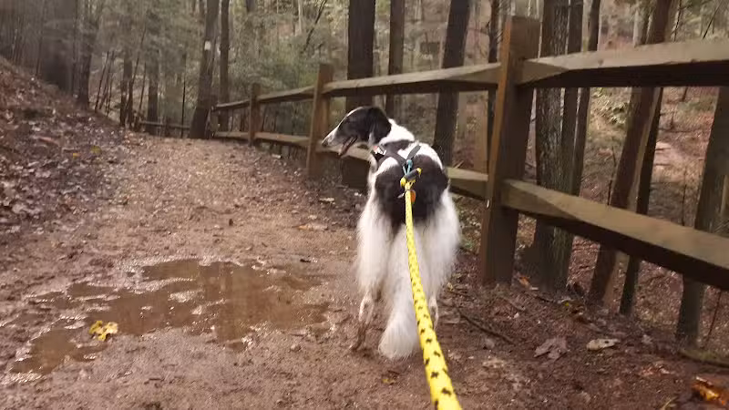 21 Horse Cave - Logan, OH