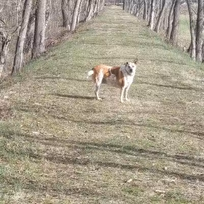 Aqueduct Park Trail - Logan, OH