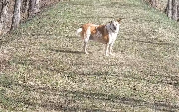 Aqueduct Park Trail - Logan, OH