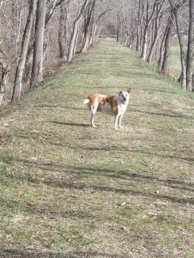 Aqueduct Park Trail - Logan, OH