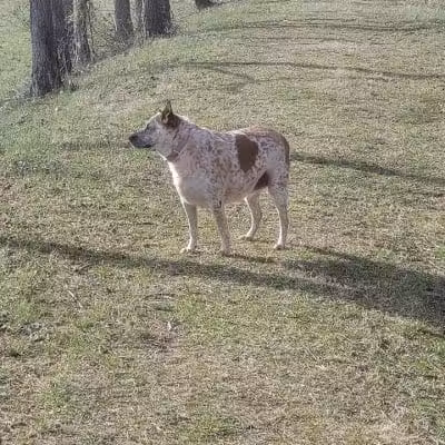 Aqueduct Park Trail - Logan, OH