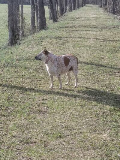 Aqueduct Park Trail - Logan, OH
