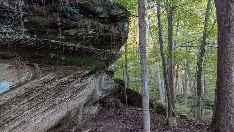 Boch Hollow State Nature Preserve, North Trailhead - Logan, OH
