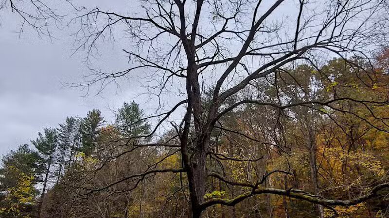 Boch Hollow State Nature Preserve, North Trailhead - Logan, OH