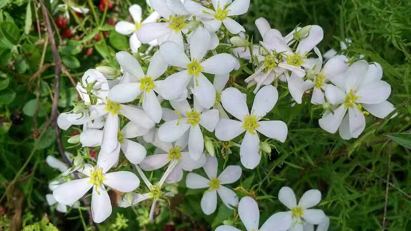 Boch Hollow State Nature Preserve, Office - Logan, OH