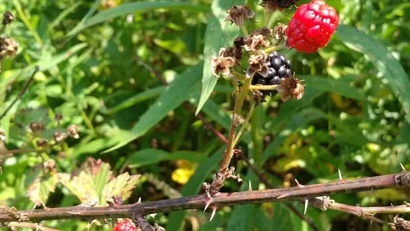 Boch Hollow State Nature Preserve, Office - Logan, OH