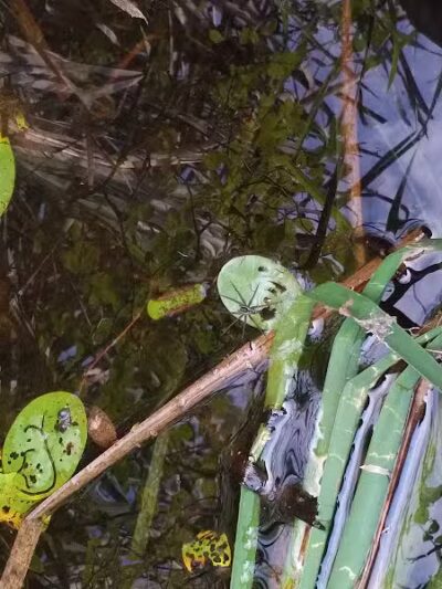 Boch Hollow State Nature Preserve, Office - Logan, OH