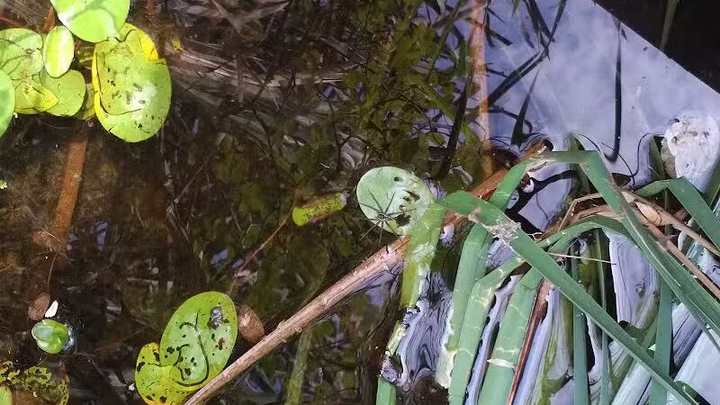 Boch Hollow State Nature Preserve, Office - Logan, OH