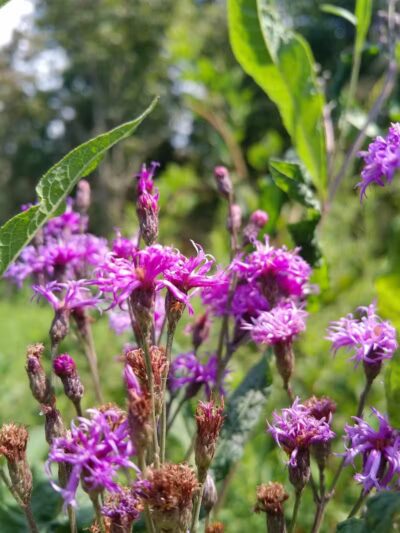 Boch Hollow State Nature Preserve, Office - Logan, OH