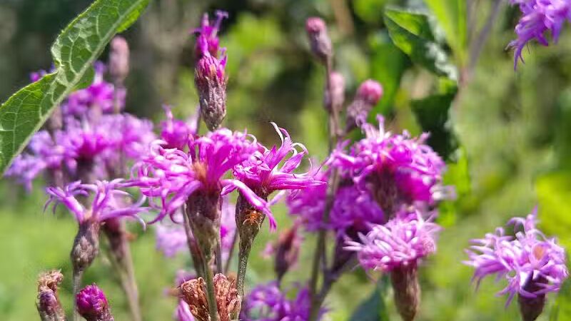 Boch Hollow State Nature Preserve, Office - Logan, OH